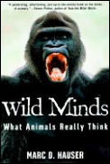Wild Minds What Animals Really Think