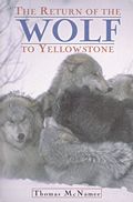 Return Of The Wolf To Yellowstone