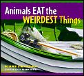 Animals Eat The Weirdest Things