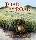 Toad by the Road A Year in the Life of These Amazing Amphibians