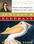 Audubons Elephant Americas Greatest Natu