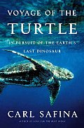 Voyage Of The Turtle In Pursuit Of Earth