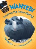Rainbow Street Shelter 03 Wanted a Guinea Pig Called Henry