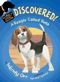 Discovered a Beagle Called Bella