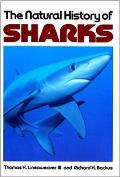 Natural History Of Sharks