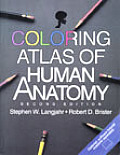 Coloring Atlas Of Human Anatomy 2nd Edition