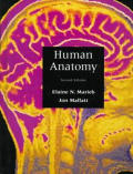 Human Anatomy 2nd Edition