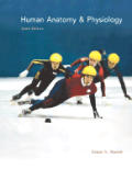 Human Anatomy & Physiology 6th Edition