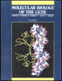 Molecular Biology Of The Gene 4th Edition Comple