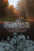 Big Sycamore Stands Alone