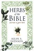 Herbs Of The Bible & How To Grow Them