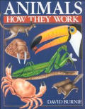 Animals How They Work
