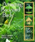 Attracting Backyard Birds Inviting Projects to Entice Your Feathered Friends