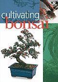 Cultivating Bonsai