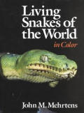 Living Snakes Of The World In Color