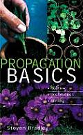 Propagation Basics Tools Techniques Tim