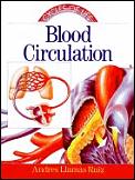 Blood Circulation Cycles Of Life