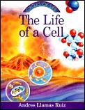 Life Of A Cell Cycles Of Life