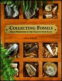 Collecting Fossils Hold Prehistory In