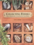 Fossil Collection Hold Pre History In