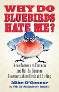 Why Do Bluebirds Hate Me More Answers to Common & Not So Common Questions about Birds & Birding