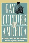 Gay Culture in America Essays from the Field