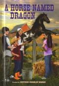 Boxcar Children 114 Horse Named Dragon