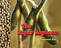 Super Soybean