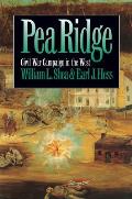 Pea Ridge Civil War Campaign In The West