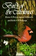 Birds Of The Carolinas