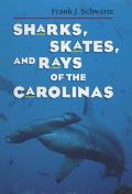 Sharks, Skates, and Rays of the Carolinas