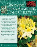Growing Shrubs & Small Trees in Cold Climates
