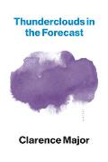 Thunderclouds in the Forecast A Novel