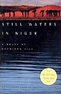 Still Waters in Niger