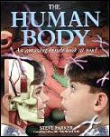 Human Body An Amazing Inside Look At Y