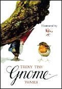 Teeny Tiny Gnome Tomes 3 Volumes Little Gnome Facts Gnomes to the Rescue A Gnome Counting Book