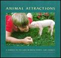 Animal Attractions A Tribute To The Love