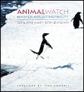 Animalwatch Behavior Biology & Beauty