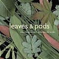 Leaves & Pods