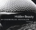 Hidden Beauty Microworlds Revealed