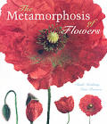 Metamorphosis Of Flowers