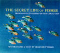 Secret Life Of Fishes From Angels To Zebras on the Coral reef