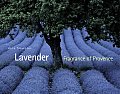 Lavender Fragrance Of Provence