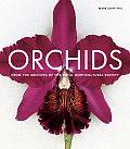 Orchids From The Archives Of The Royal H