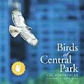 Birds Of Central Park