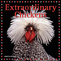 Cal09 Extraordinary Chickens
