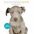 William Wegman Puppies Calendar With Poster