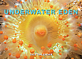 Cal09 Underwater Eden