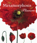 Metamorphosis Of Flowers