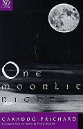 One Moonlit Night: Novel